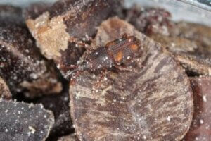 밀 바구니는 피해