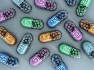 반려견 먹이에 함유된 합성 비타민과 무기질