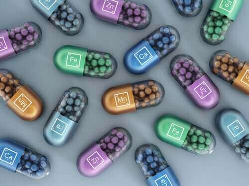 반려견 먹이에 함유된 합성 비타민과 무기질