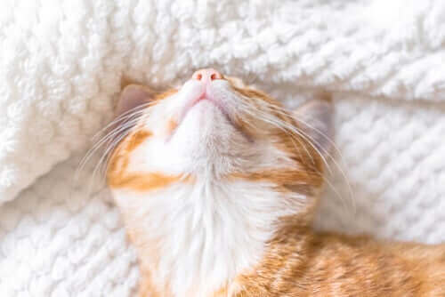 기본적인 권장 사항