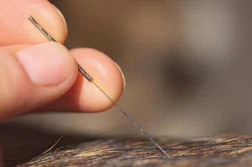 침 치료 디스크