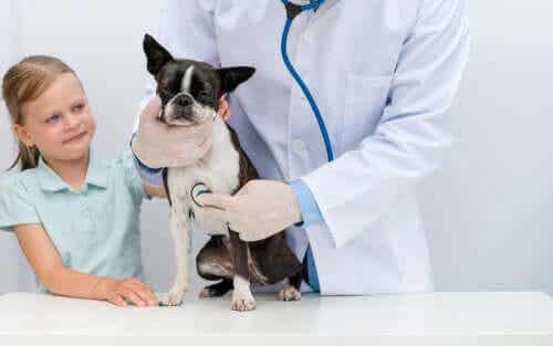 거식증에 스트레스